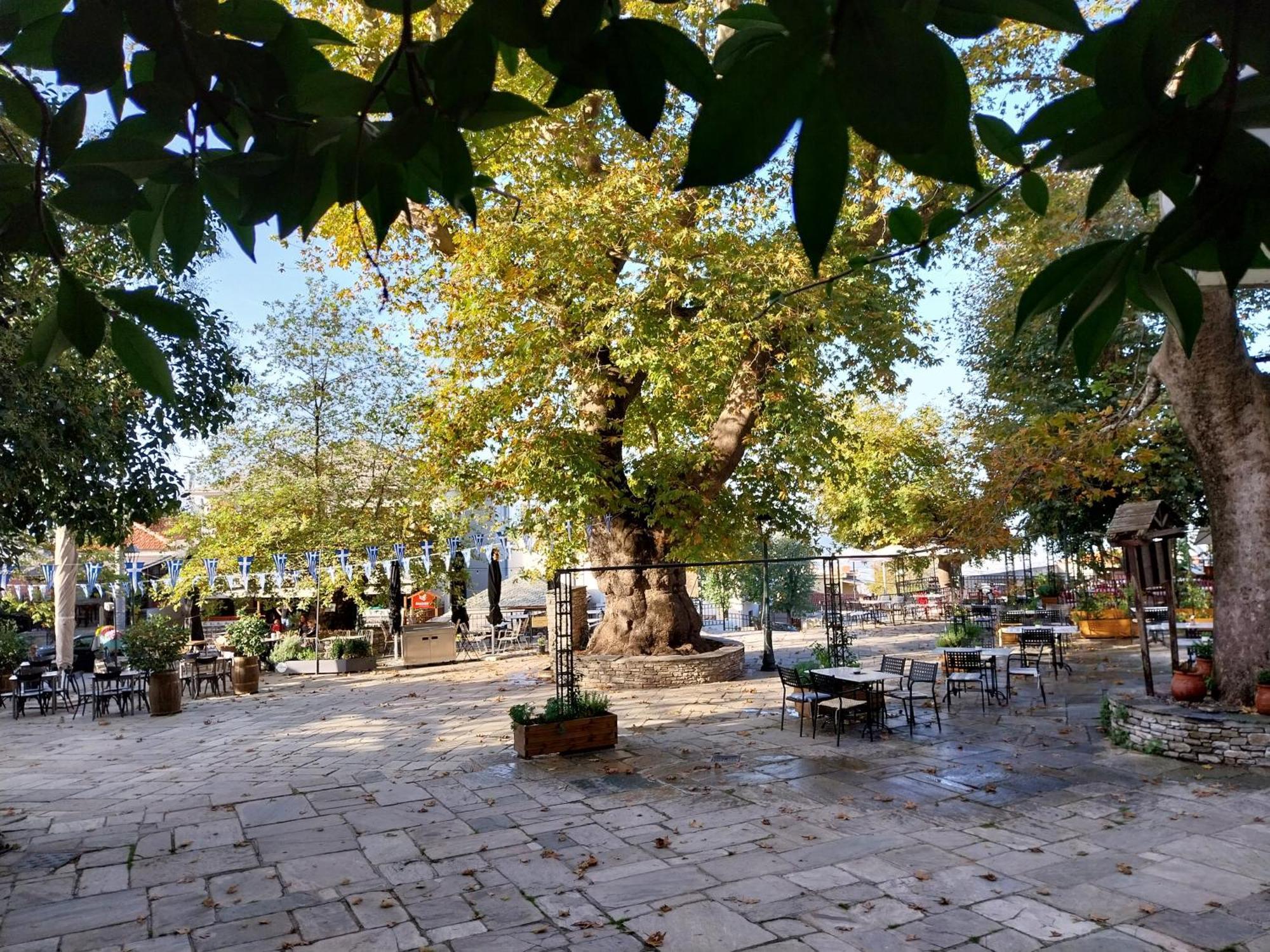 Marousos Central Guesthouse Portariá Dış mekan fotoğraf