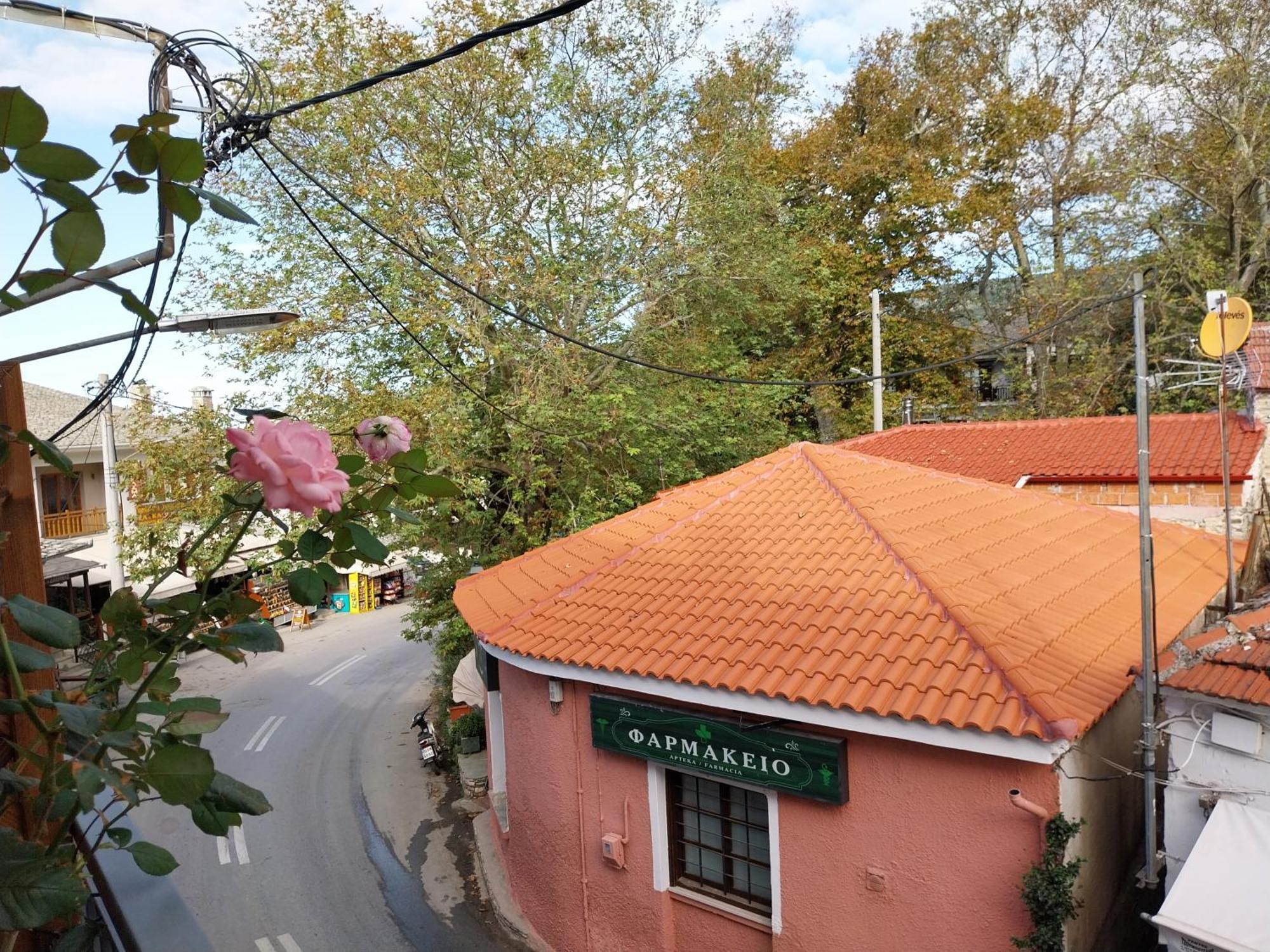 Marousos Central Guesthouse Portariá Dış mekan fotoğraf